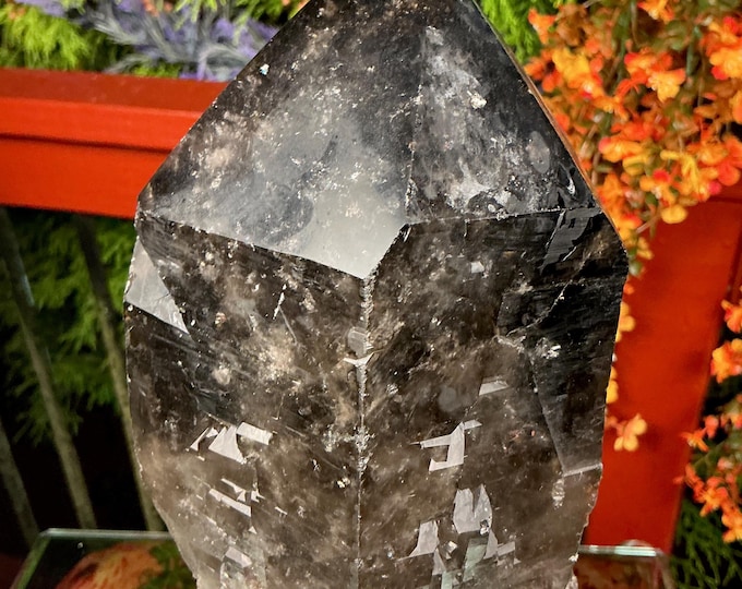 Black Morion Quartz Display Crystal 11 Lb. Single-Terminated Point Cluster ~ 10" Tall ~Natural Black Color ~ Custom Hand Carved Stand