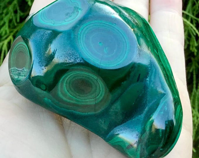 Malachite Large 5.7 oz. Stone ~ 2 1/2" Long - Big Beautiful Polished Green African Mineral Specimen Display ~ Swirling Bullseye Patterns