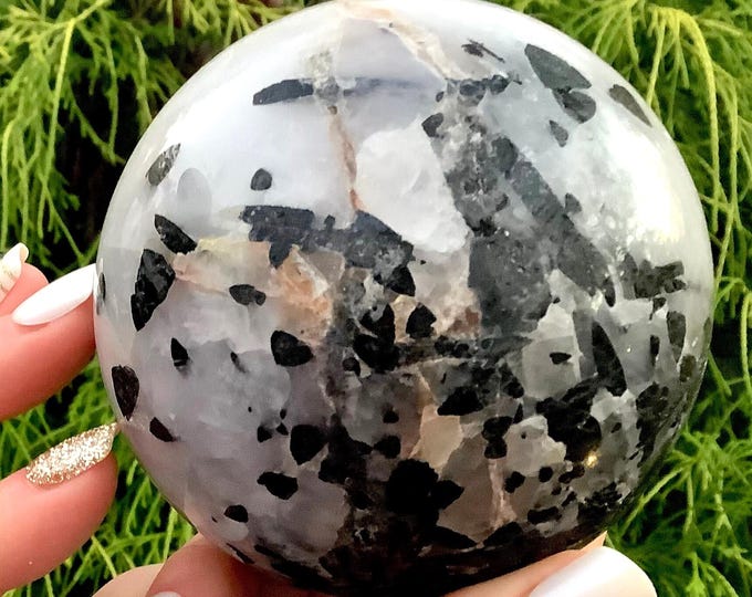 Black Tourmaline Snow Quartz Crystal Ball ~ Large 1 lb. 15 oz. ~ 3" Wide Polished Quartz Sphere ~ Display Specimen ~ Fast & Free Shipping