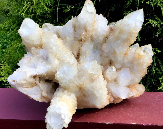 Golden Healer Elestial Quartz Crystal Cluster ~ Large 8 lb. ~ 9" Long ~Metaphysical Home Decor ~ Reiki, Altar Display