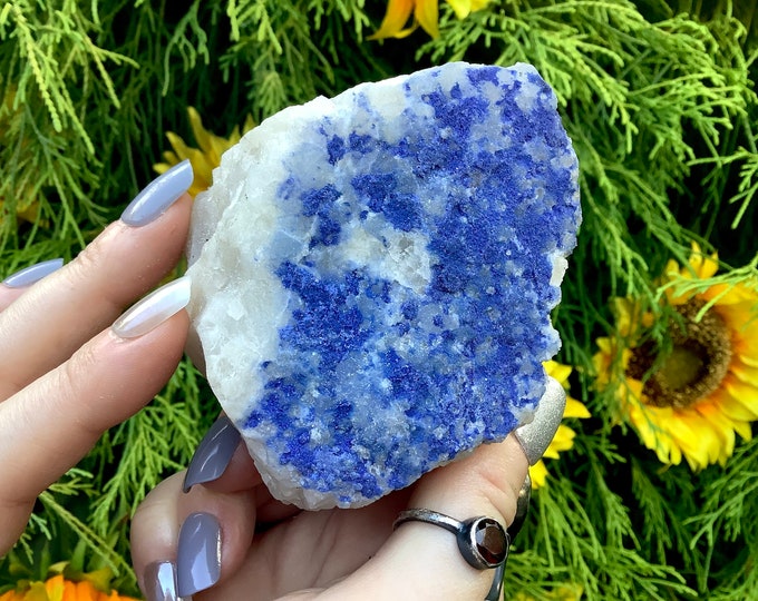 Blue Dumortierite On Quartz Crystal ~ Large 1 Lb. ~ 3" Long ~ Sparkling Blue Color ~ Reiki Altar Meditation Display ~ Fast & Free Shipping