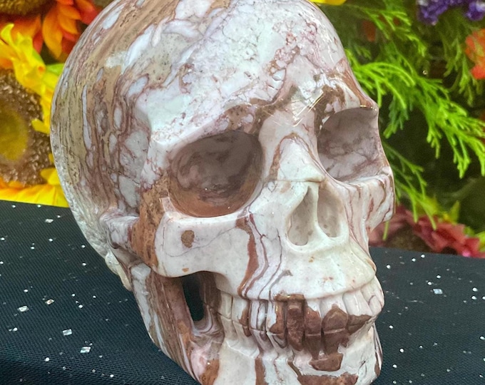 Aragonite Crystal Skull ~ Large 2 Lb. 12 oz. ~ 5" Long ~ Hand Carved Sparkling Golden-Brown Crystal Sculpture ~ Fast & Free Shipping U.S.A.