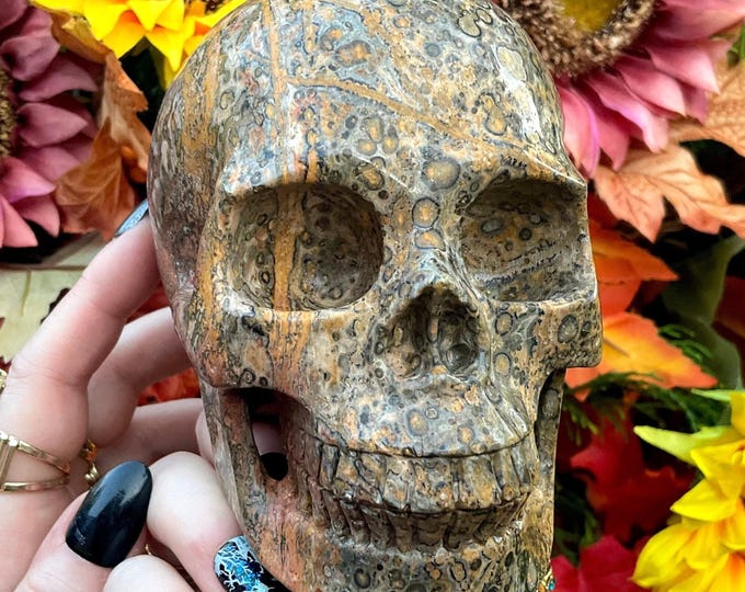 Orbicular Jasper Skull Large 2 Lb. 5 oz. Crystal ~ 5" Long ~ High Quality Hand Carved Sculpture ~ Swirling Gold Black Yellow & Red Colors
