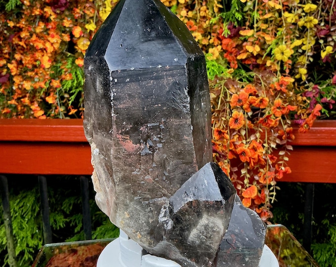 Black Morion Quartz Display Crystal 8 Lb. 2 oz.  Single-Terminated Point Cluster ~ 10" Tall ~Natural Black Color ~ Custom Hand Carved Stand