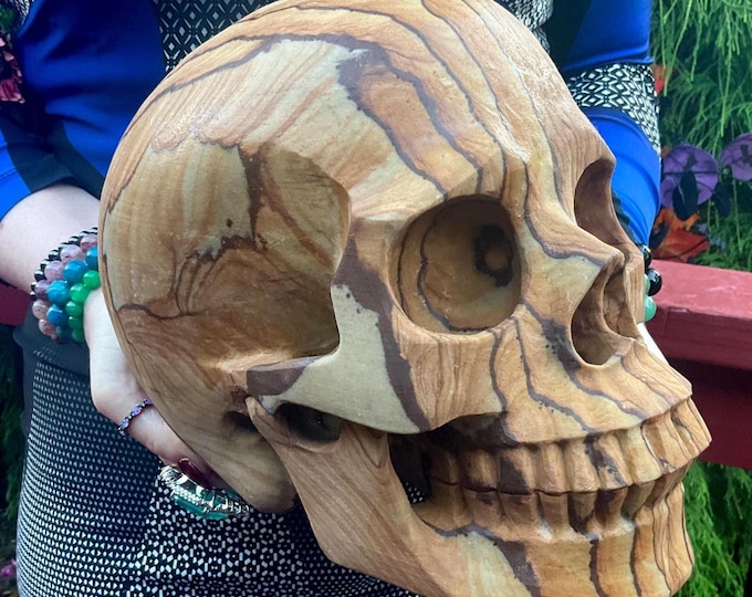 Picture Jasper Crystal Skull ~ Large 21 Lb. ~ 10" Long ~ One of-a Kind Expertly Hand Carved Sculpture ~ Sand, Golden, Beige Colors