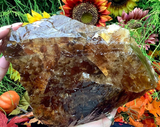 CLEARANCE! ~ Honey Calcite Crystal Free Form ~ Large 7 Lb. 4 oz. ~ 10" Long ~ Deep Golden Translucent Color ~ Fast & Free Shipping