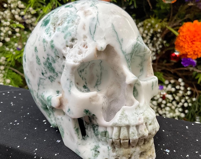 Moss Agate Crystal Skull ~ 2 Lb. 4 oz. ~ 5" Long ~ Swirling Green & White Colors ~ Expertly Hand-Carved Sculpture ~ Fast Shipping from U.S.A