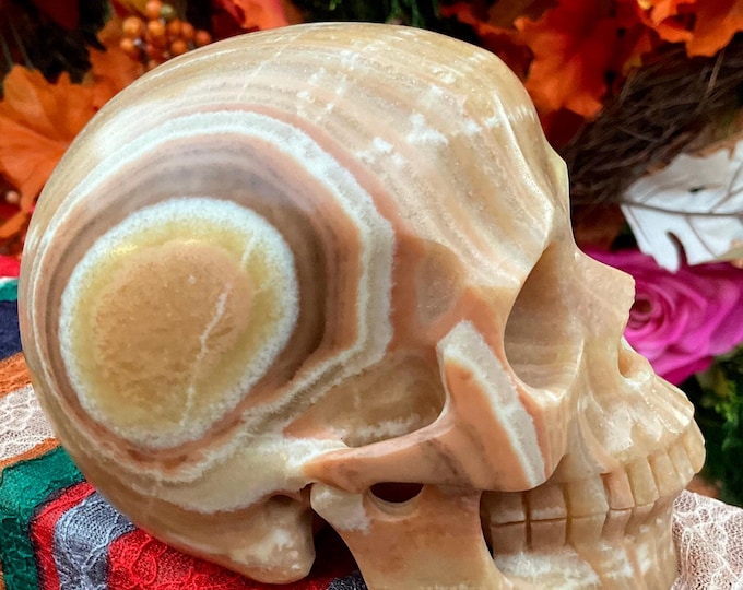 Golden Calcite Crystal Skull ~ Large 2 Lb. 13 oz.  ~ 5" Long ~ Hand Carved Sculpture ~ Sparkling Banded Yellow White Grey & Black Colors