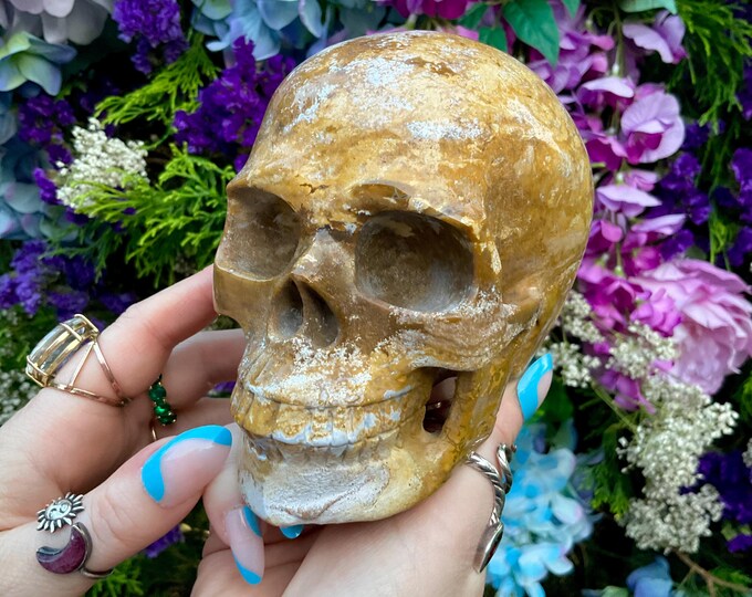 Golden Ocean Jasper Crystal Skull ~ Large 2 Lb. 9 oz. ~ 5" Long High Quality ~ Expertly Hand-Carved Sculpture Vivid Colors ~ Fast Shipping