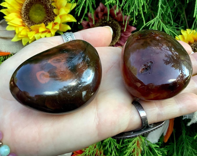 CLEARANCE ~ Dark Carnelian Agate Freeform Crystals ~ Duo of 2 ~ 8 oz. ~ Stunning Orange, Red Colors