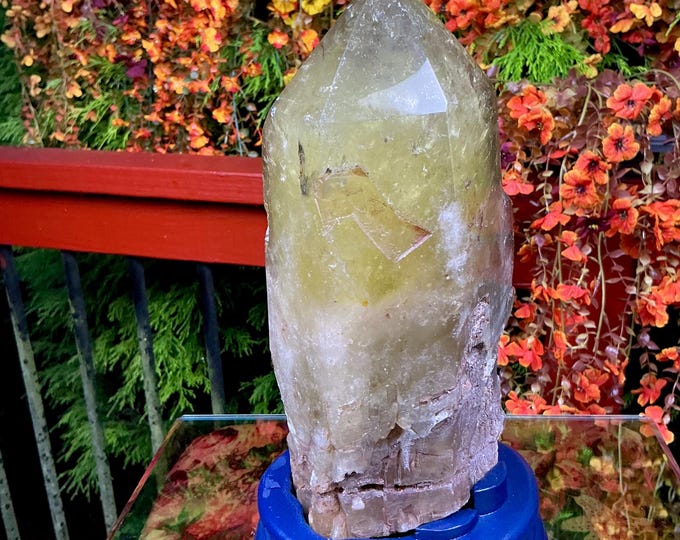 Clear Citrine Quartz Crystal Point ~ 6 Lb. 13 oz. ~ 9" Tall~ Sparkling Yellow with Golden Rainbow Inclusions ~ Custom Hand Carved Stand