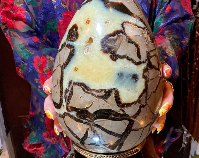 Septarian Dragon Stone Crystal Egg ~ Large 15 Lb. ~ 8" Tall with Vintage Display Stand ~ Reiki, Altar Décor, Feng Shui, Meditation Display