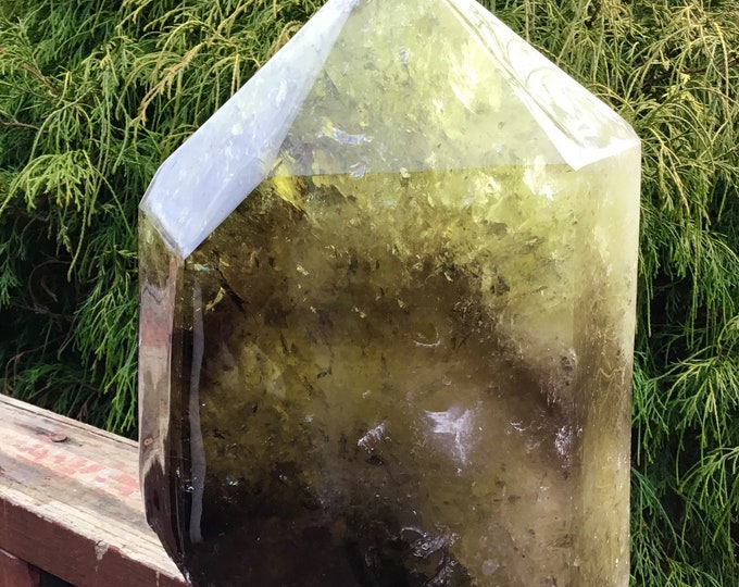 Smokey Citrine Crystal Generator ~ Large 24 lb. ~ 12" Tall ~ Sparkling Silver Inclusions ~ Fast & Free Shipping