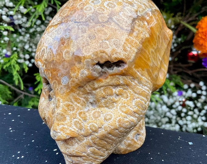 Fossilized Jasper Elf Crystal Skull ~ 1 Lb 12 oz.~ 4" Tall ~ Yellow, White and Golden Colors ~ One-of-a-Kind, Fast & Free Shipping, U.S.A. ~