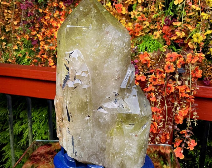Clear Citrine Quartz Crystal Point ~ 11 Lb. 14 oz. ~ 11" Tall~ Sparkling Yellow with Golden Rainbow Inclusions ~ Custom Hand Carved Stand