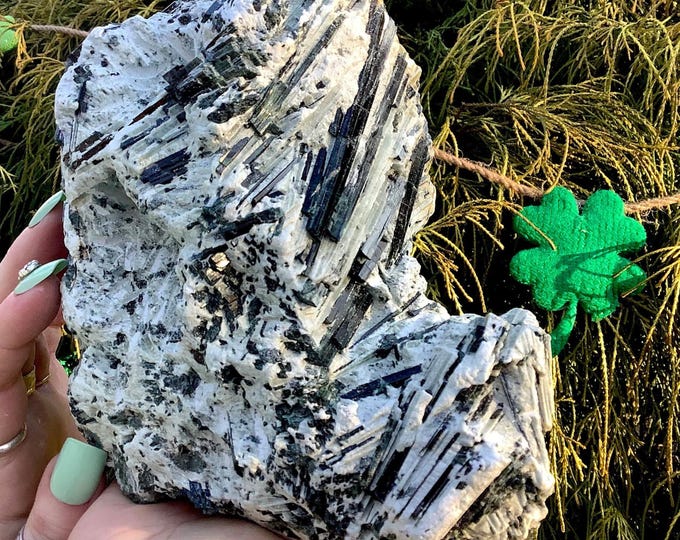 Green Actinolite Crystal Cluster ~ Large 5 lb. 11 oz. ~ 6" Tall ~ Natural Unpolished Raw Stone ~ Self Standing Altar Display