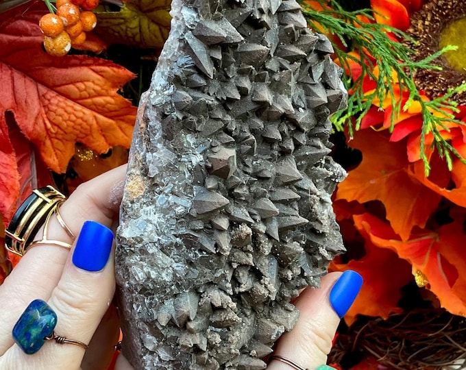 Cave Calcite Crystal Cluster ~ Large 1 Lb. ~ 5" Long ~ Natural Display Mineral on Matrix ~ Sparkling Points ~ Fast & Free Shipping