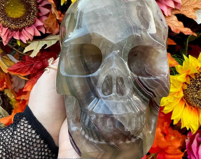 Rainbow Fluorite Crystal Skull ~ Large 9 Lb. 4 oz. ~ 6" Long ~ Hand-Carved Life-Size Sculpture Translucent Purple Colors ~ Free Shipping USA