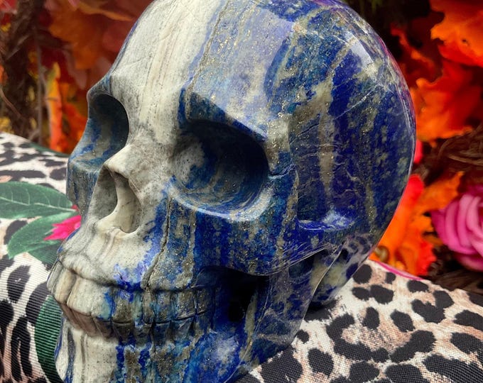 Lapis Lazuli Crystal Quartz Large 3 Lb. 3 oz. Skull ~ 5" Long Crystal Sculpture ~ Sparkling Pyrite with Blue & White Colors ~