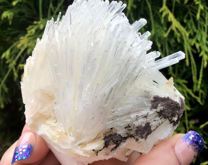 CLEARANCE! ~ Scolecite Spray Crystal Cluster ~ 6.2 oz. ~ 3" Long ~ Synergy 12 ~ Incredible Ultra Clear Dainty Long Points ~
