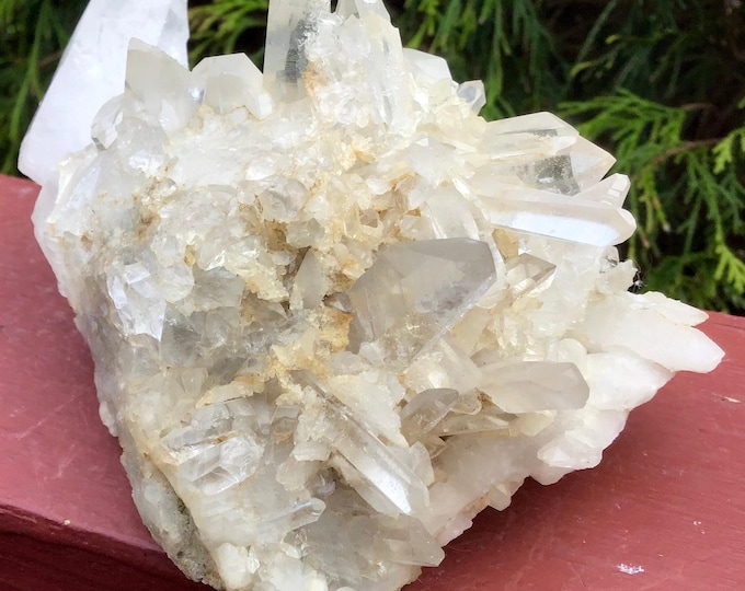Clear Quartz Golden Healer Crystal Cluster ~ Large 15 oz ~ 5" Long ~ Sparkling Points ~ Mined in the USA