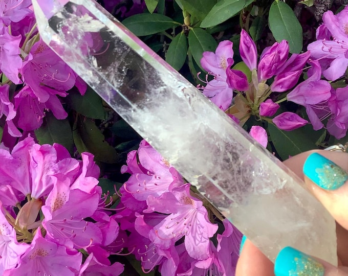 High Altitude Himalayan Clear Quartz Crystal Wand ~ Large 5 oz. ~ 6" Long ~ Museum Quality, Sparkling Inclusions ~ Fast & Free Shipping, USA