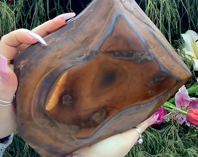 Tigers Eye w/ Hematite Freeform Crystal ~ Large 6 Lb. 15 oz. ~ 9" Long ~ Sparkling Golden-Red-Brown Black Colors ~ Rare Mineral Combination