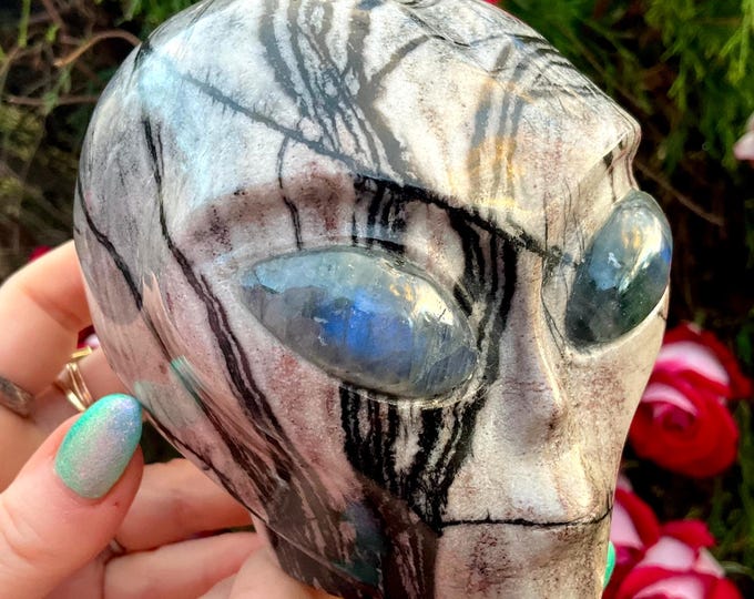 Picasso Jasper Alien Crystal Skull ~ Large 2 Lb. 11 oz. ~ 4" Long ~ with Labradorite Eyes ~ One-of-a-Kind Sculpture ~ Fast & Free Shipping ~