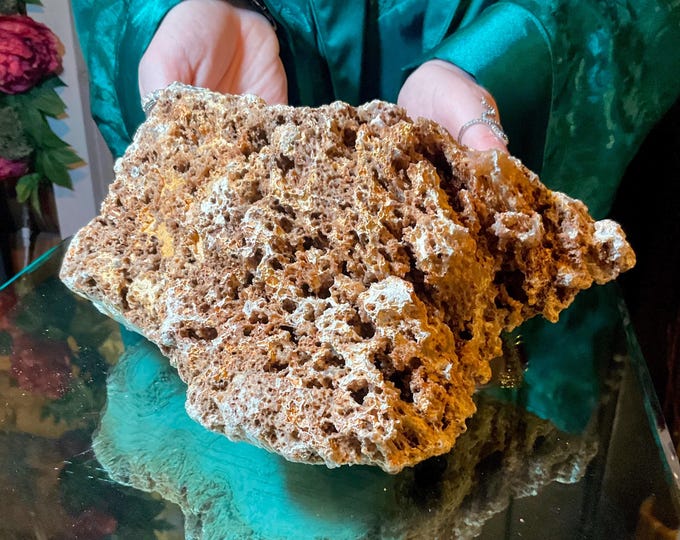 Fossil Coral & Agate Cluster ~ Large 6 Lb. 11 oz. ~ 9" Long ~ Gemmy Colorful Agate Botryoidal Rounded Segments on Natural Prehistoric Matrix