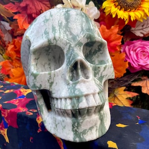 Cráneo de cristal de jaspe verde ~ Grande 8 lb. 8 oz. ~ 6&quot; de largo ~ Alta calidad ~ Escultura de tamaño natural tallada a mano ~ Envío rápido y gratuito desde EE. UU.