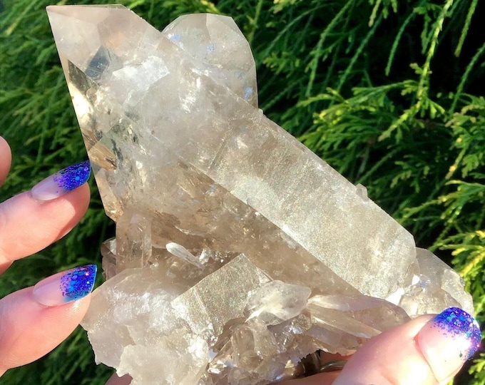 Smokey Citrine Clear Quartz Crystal Cluster ~ Large 15 oz. ~ 5" Long ~ Solar Plexus Chakra, Altar, Reiki Healing, Home Decor