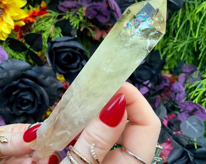 Citrine Quartz Crystal Wand ~ Large 5 oz. ~ 5" Long ~ High Altitude Himalayan Point ~ Clear Yellow Phantoms Sparkling Rainbow Inclusions