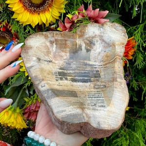 Petrified Wood Crystal Bowl ~ Large 4 lb. 6 oz. ~ 7&quot; Long ~ Stunning Display from Indonesia ~ Millions of Years Old ~ Fast Free Shipping USA