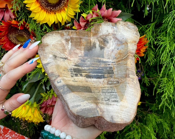 Petrified Wood Crystal Bowl ~ Large 4 lb. 6 oz. ~ 7" Long ~ Stunning Display from Indonesia ~ Millions of Years Old ~ Fast Free Shipping USA