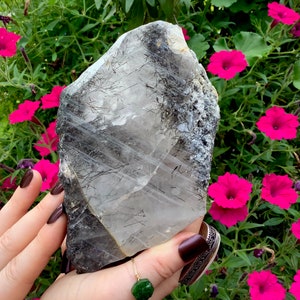 Nirvana Quartz Crystal Cluster ~ Large 1 lb. 14 oz. ~ 6&quot; Long ~ Actinolite Inclusions ~ Himalayan, Glacial, Ice Quartz, Fast & Free Shipping