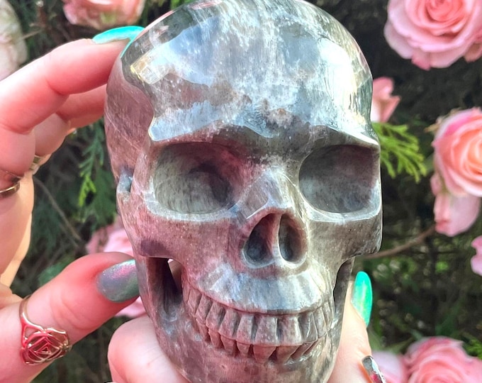 Petrified Wood Crystal Skull ~ Large 1 Lb 6 oz ~ 4" Long ~ One-of-a-Kind Expertly Hand Carved Sculpture ~ Fast & Free Shipping, From U.S.A ~