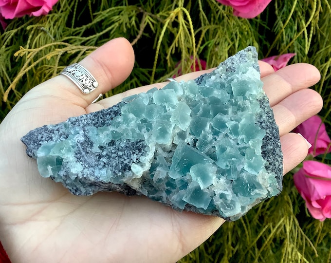 Blue Fluorite Crystal Cluster ~ Large 5 oz. ~ 4 1/2" Long ~ Colorful Cubic Formation ~ Rare, Beautiful, Reiki, Altar Display Specimen, decor