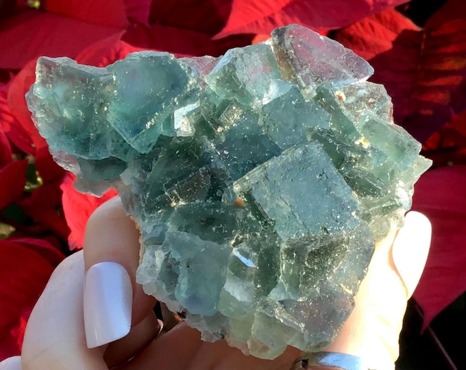 Blue Green Fluorite Crystal Cluster ~ 4 oz. ~ 3“Long ~ Rare Colors ~ Sparkling Matrix ~ Sacred Geometry Formation ~ Fast & Free Shipping