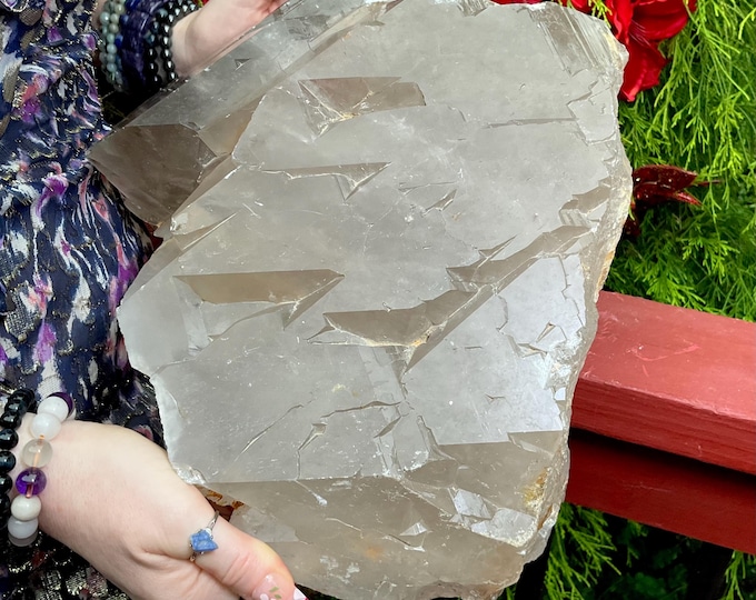 Massive Smokey Quartz Crystal Cluster ~ 38 lb. ~ 14" Long ~ Rare Specimen ~ Skeletal Quartz ~Metaphysical Home Decor ~ Fast & Free Shipping
