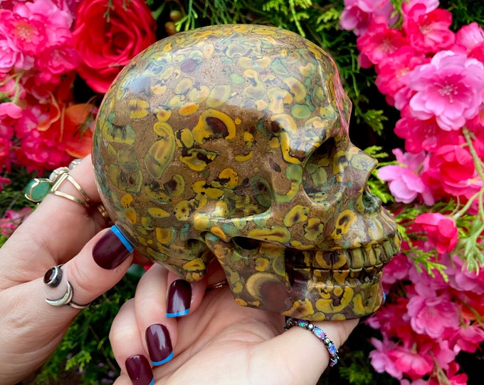 Fossilized Jasper Crystal Skull ~ Large 2 Lb. 14 oz.  ~ 5" Long ~ Hand Carved Sculpture ~ Golden Red Brown & Black Colors, Fast Shipping USA