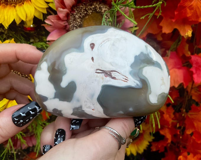 Orca Agate Freeform Crystal ~ Large 1 Lb. 4 oz. ~ 4 " Long ~ Stunning Blue-Black Grey & White Colors ~ Fast Free Shipping from U.S.A. ~