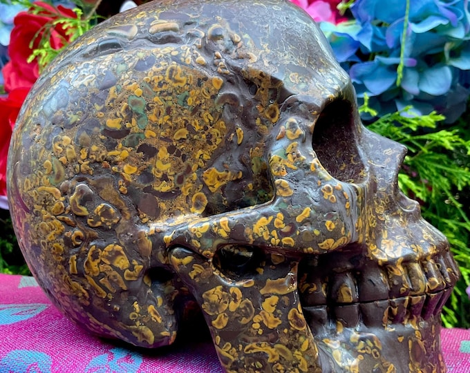 Fossilized Jasper Crystal Skull ~ Large 7 Lb. 9 oz.  ~ 6" Long ~ Hand Carved Sculpture ~ Golden Red Brown & Black Colors, Fast Shipping USA