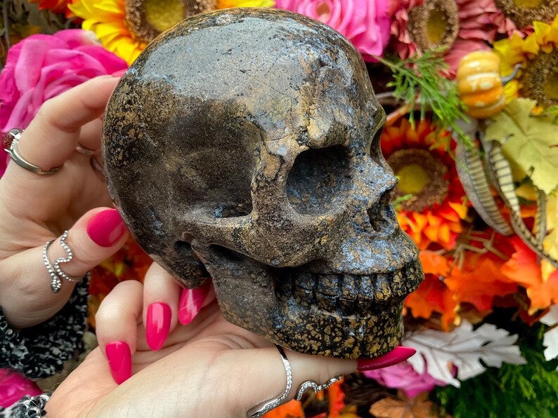 Jasper Skull Large 2 Lb. 9 Oz. Crystal 5 Long High Quality Expertly