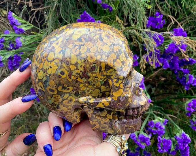 Fossilized Jasper Crystal Skull ~ Large 2 Lb 15 oz ~ 5" Long ~ Hand Carved Sculpture~ Swirling Golden Red Brown & Black Colors Fast Shipping