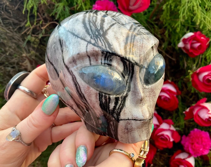 Picasso Jasper Alien Crystal Skull ~ Large 2 Lb. 11 oz. ~ 4" Long ~ with Labradorite Eyes ~ One-of-a-Kind Sculpture ~ Fast & Free Shipping ~