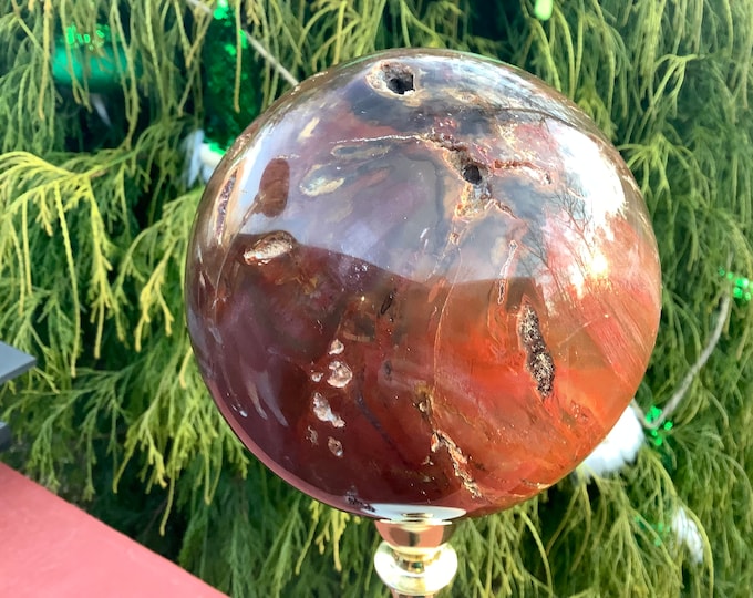 Petrified Wood Crystal Ball ~ Large 5 Lb. 13 oz. Sphere ~ 5" Wide ~ Stunning Brown & Red Colors ~ Home Decor ~ Free Shipping