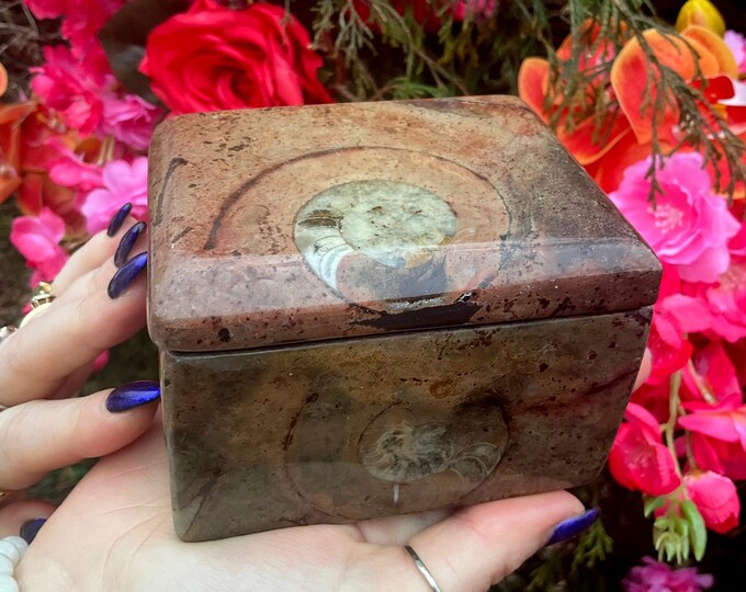 Ammonite Fossil Jewelry Box ~ 4" Long ~ Vintage Hand Carved Treasure Box with Lid ~ Golden, Brown & Red Colors ~ Fossilized Patterns ~
