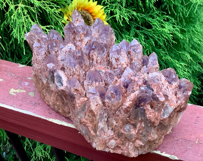 Amethyst Crystal Cluster ~ Large 6 Lb. 8 oz. ~ 7" Long ~ Gorgeous Display ~ Natural Beautiful Purple Points ~ Mineral Display Specimen