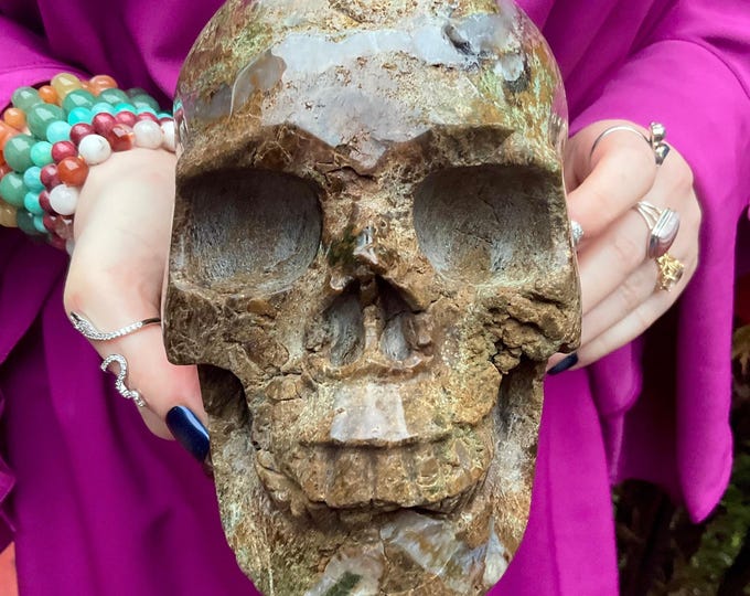 Boulder Chrysoprase Crystal Skull ~ Large 6 Lb. 9 oz. ~ 6" Long ~ Glowing Green & Golden Brown ~ One-of-a-Kind Hand Carved ~