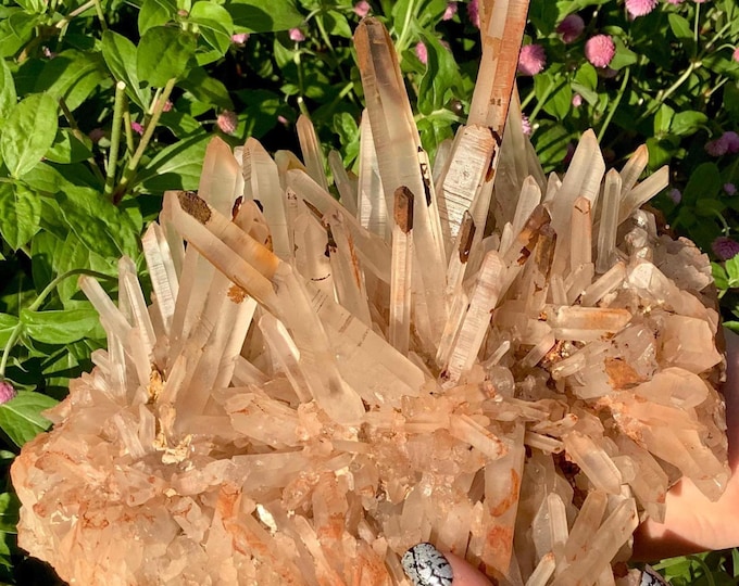 Lemurian Quartz Crystal Cluster ~ Large 7 Lb. ~ 7" Long ~ Stunning Metaphysical Home Decor ~ Reiki Altar Display ~ Fast & Free Shipping